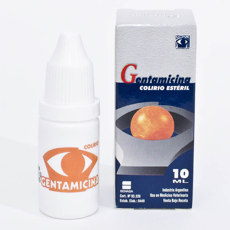 gentamicin love